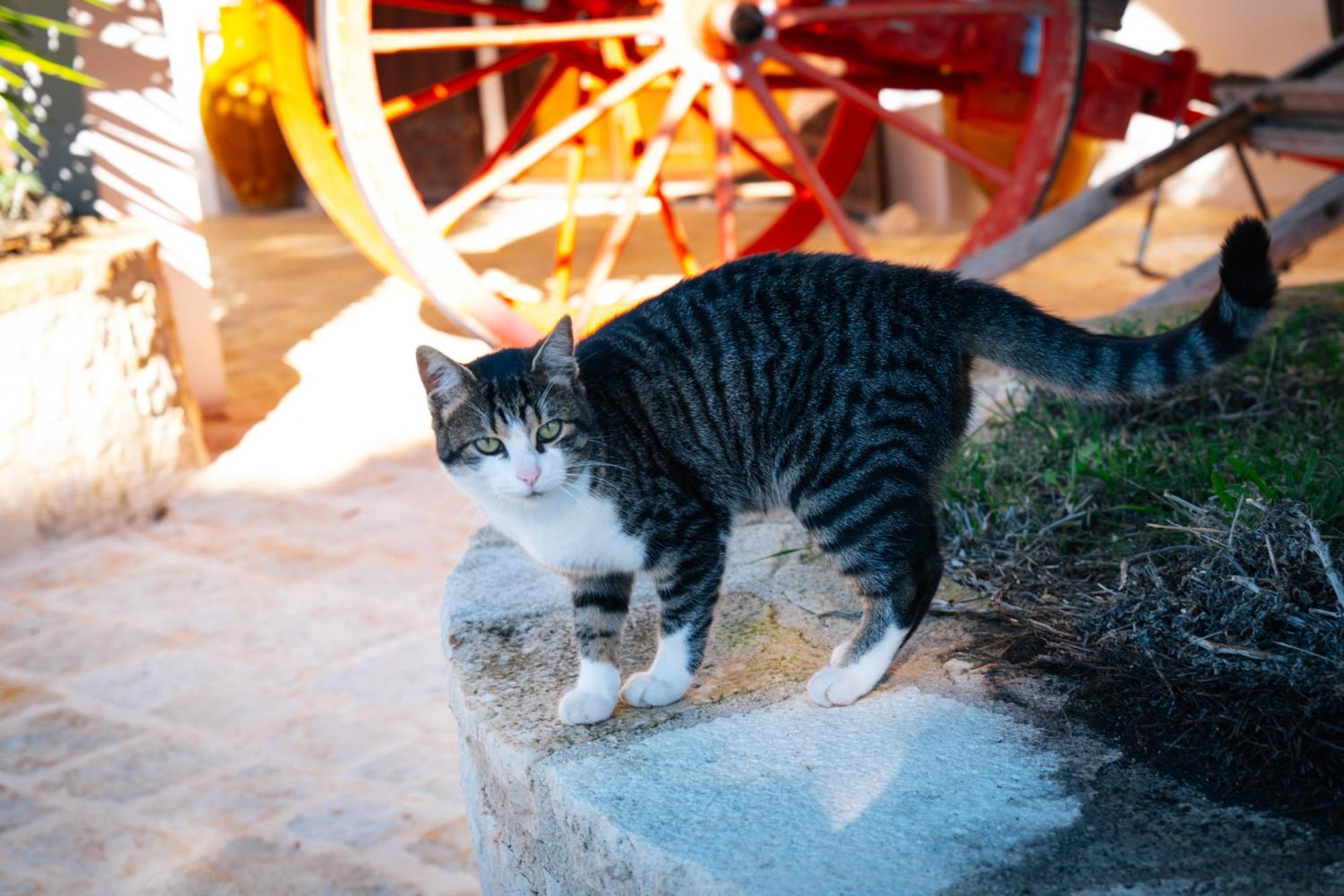 Masseria Pilano Crispiano Luaran gambar